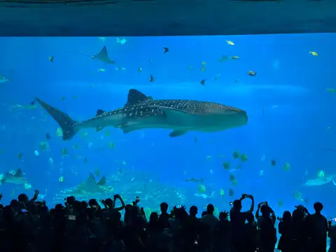 珠海长隆海洋王国 - Leon Wang 摄影作品